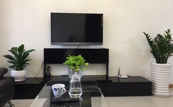 apartment for rent in binh thanh district BT1011256 (2)